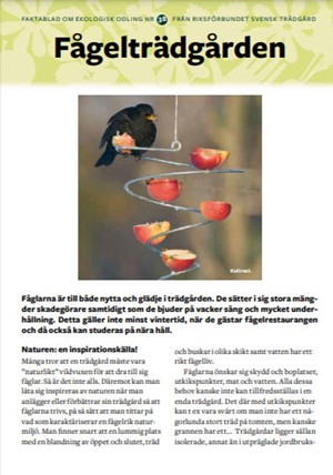 Faktablad 38 - Fågelträdgården