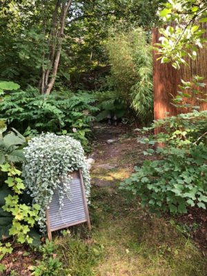 B7F63891-8EA7-4E9D-B59B-05E38A840A2D