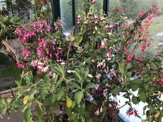 B86B133D-73DD-414D-A93A-D09784DF9891