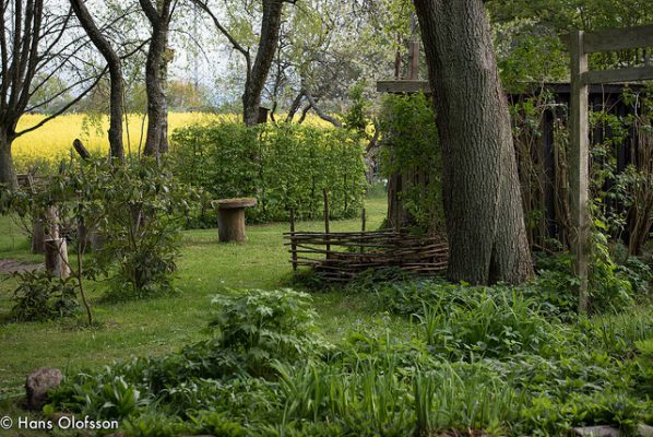 26937449712_75f5ca4733_z