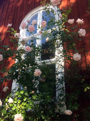 ateljefönster_17_150