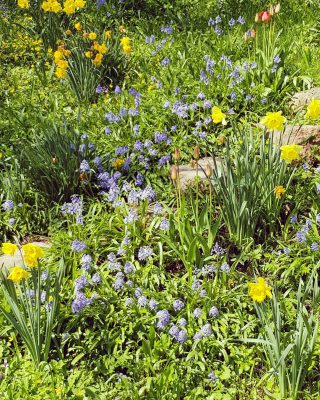 IMG_20180429_141113_468