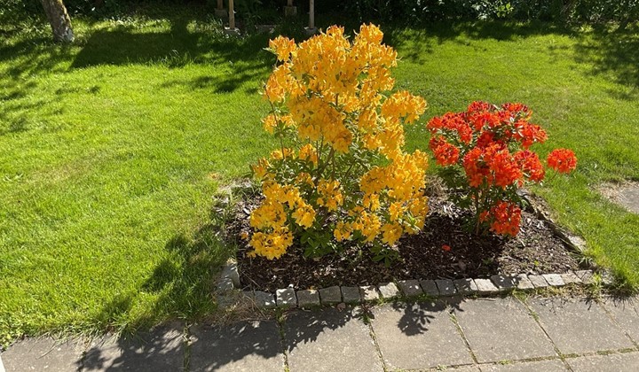Beredskapsträdgården, Veberöd