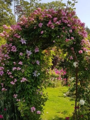 tusenträdgårdar 31