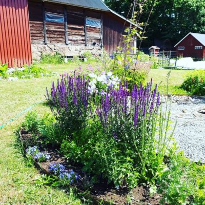 IMG_20180607_112801_209