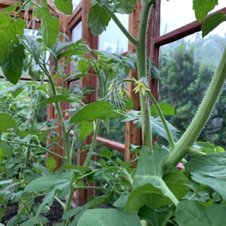 A35D7D72-4177-4EED-840D-DF6C696A6FDE