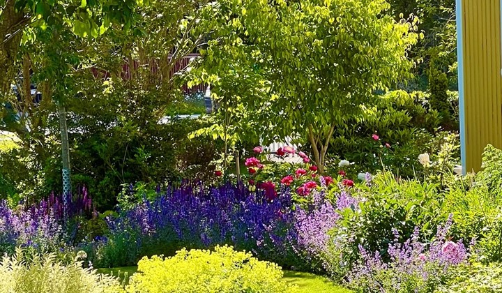 Kolms trädgård, Ucklum