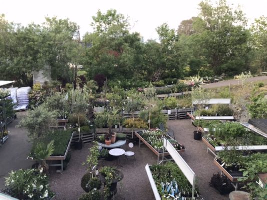 52A1A0D7-1CC9-4374-B4B5-F4CB75EC507D