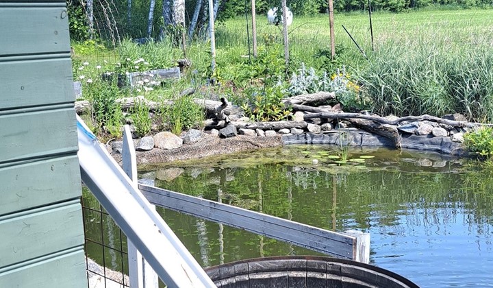 Smultrondammen, Alunda 