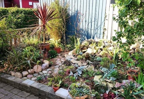 received_247825216548951