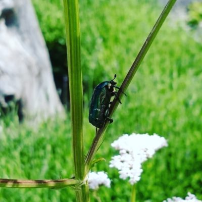 IMG_20180316_210308_728