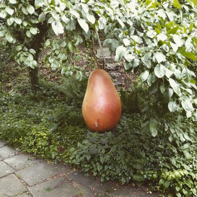 IMG_20170701_141414_288