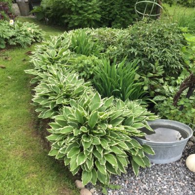 E29C86E6-C2F8-436E-8DE0-AF479523C398