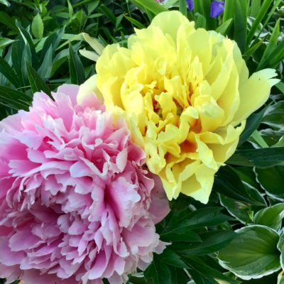 3CDED20E-2F89-4F39-95A2-BCDF8626CEE2