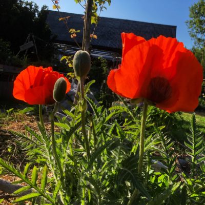 814B4172-907A-4EA8-9867-1389C5E5AFF4