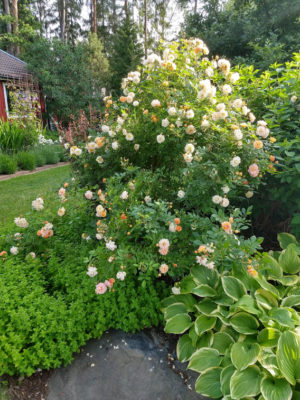 Ghislaine de Feligonde