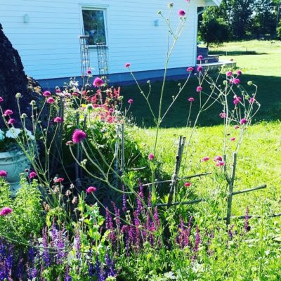 IMG_20190617_085702_868