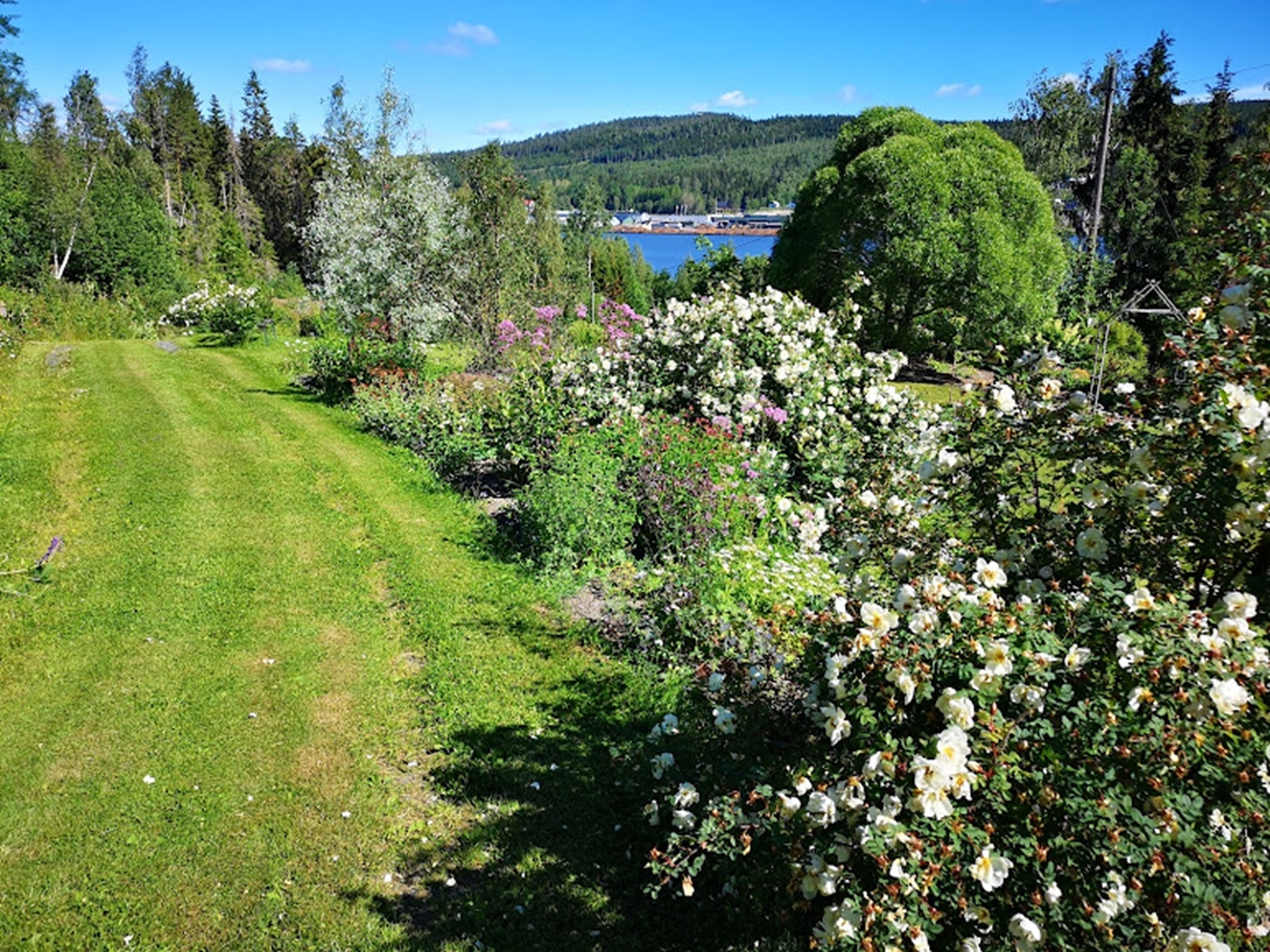 Strandsvedjans Trädgård - Riksförbundet Svensk Trädgård