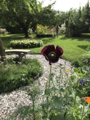 66AB327F-D925-4E9F-9F91-C3452CA114E2