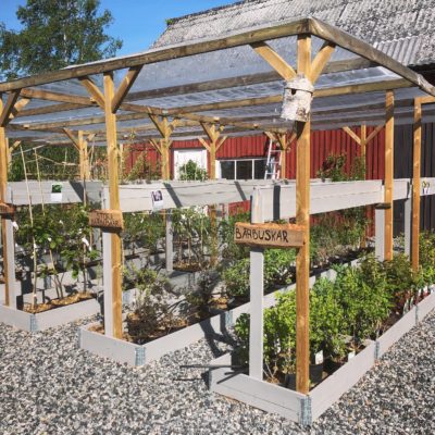 47BF8A02-CA39-43B9-9930-DFF0B1726CE9