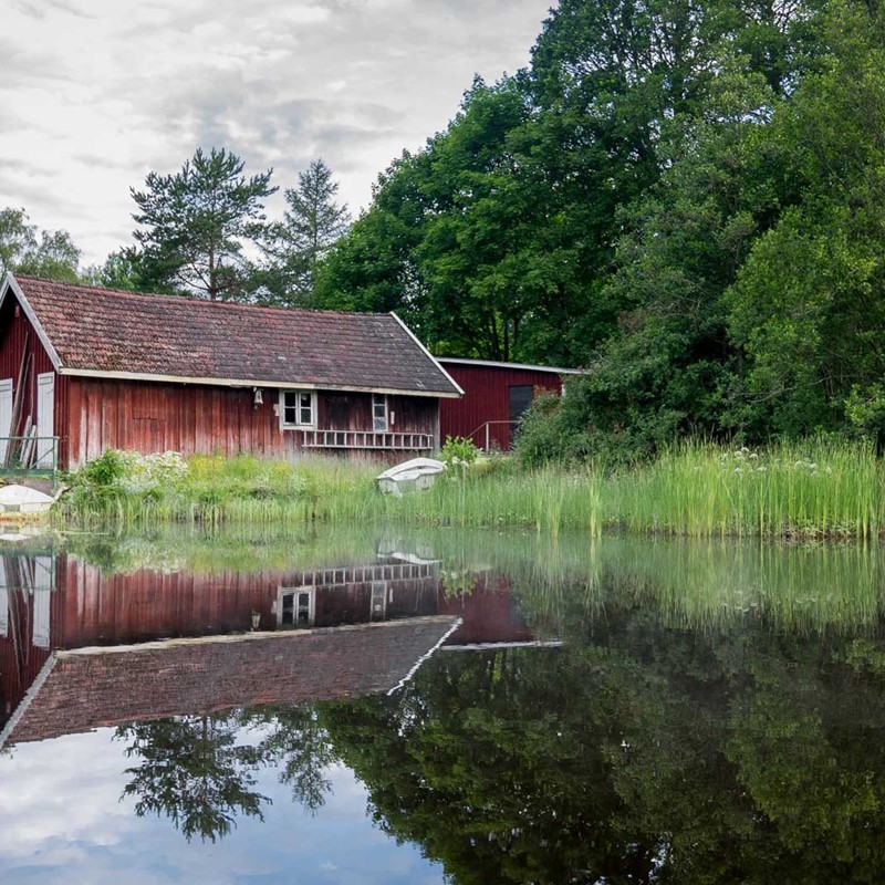 Man kan vattna med sjövatten om man äger marken och stranden.