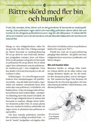 Faktablad 23 - Pollinatörer