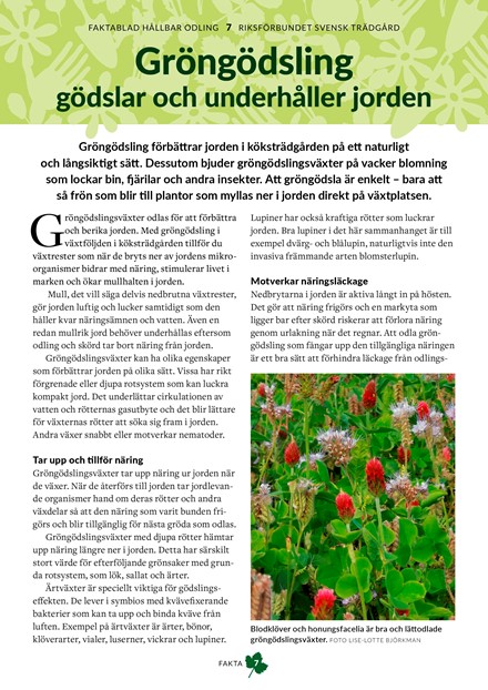 Faktablad 7 - Gröngödsling