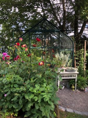 3471A73A-1651-4456-A89E-9500881ED07C