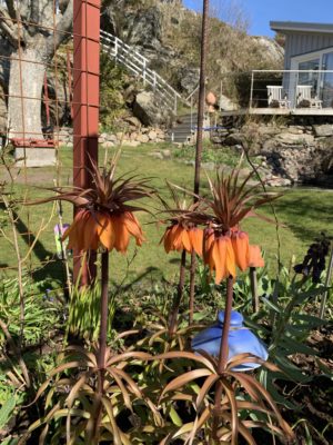 5gxML2GDRSyQQFw+H6vC1g