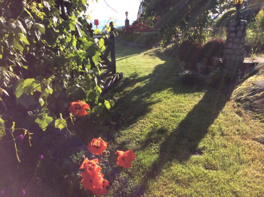 B4E074AE-7EBD-451F-9A9D-E66FC4B759DD