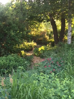 6335F526-82D6-493C-917F-6DD61C93B2F9