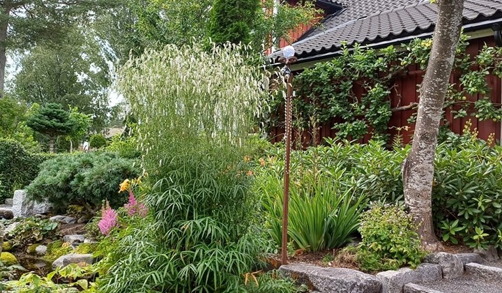 LINDHOLM'S TRÄDGÅRD Sävar, Sävar