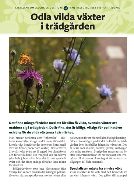 Faktablad 45 - Odla vilda växter i trädgården