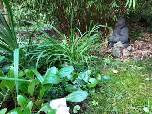 A5E0FA04-A19B-4B26-A164-8D1AB7F9B77B