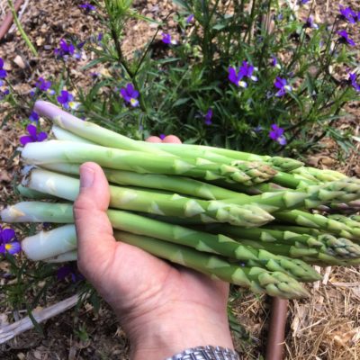 064F2E3C-6E1A-4E5C-8E04-FA73BB309D4C