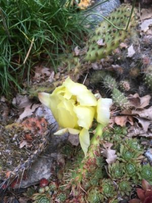 67505643-B08C-47ED-A052-9C665E2FA3F5