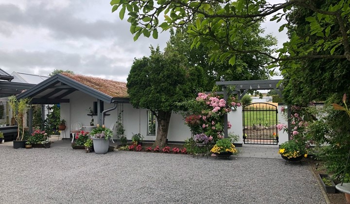 Annes Trädgård, Skivarp
