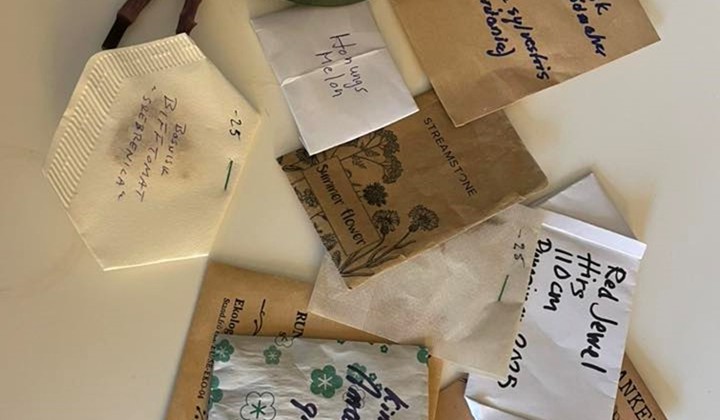 Plant- och fröruset, Huddinge