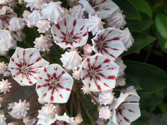 8CE5AE2D-0B65-4FB6-9488-F84D8C3EB109