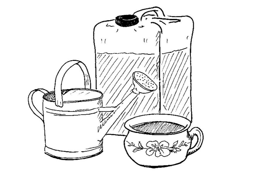 Samla den färska urinen i en tättslutande plastdunk eller späd och vattna direkt i trädgården.