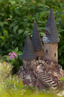 120811-Mariaberg-127945