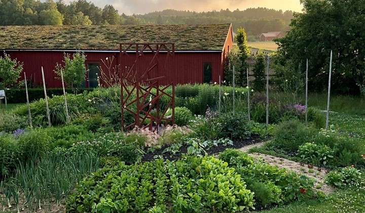 En trädgård i byn, Hjälteby på Tjörn