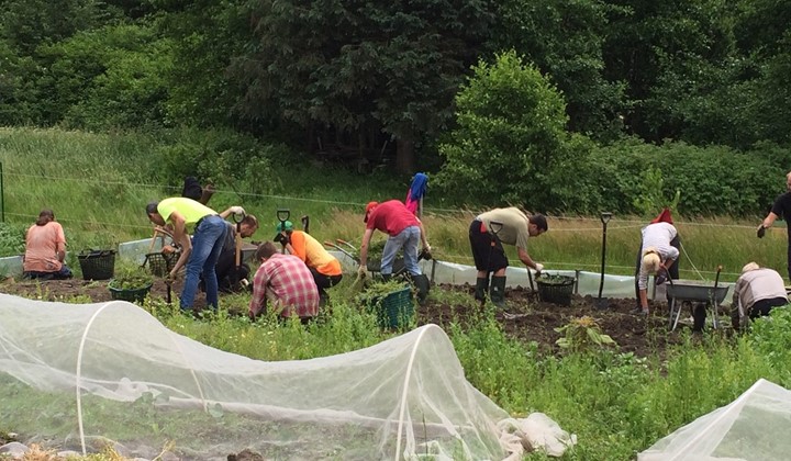Odlingsföreningen Tillsammans, Mölndal