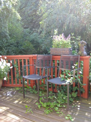 Trädgård 20110709 054