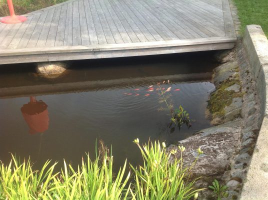 32E2B0DE-5229-4BF2-82D5-F7E5636DBDEC