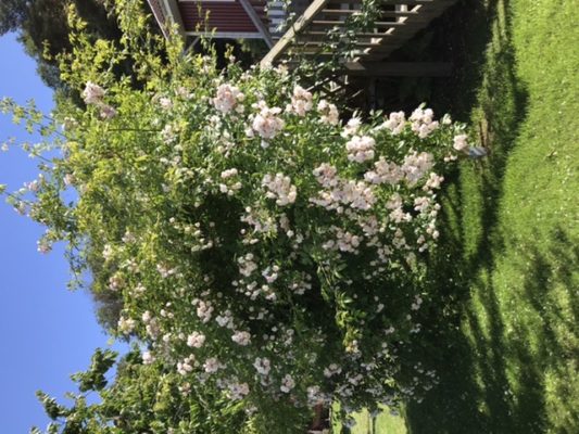 348445C9-DE85-4D55-8180-F87A0AF25216