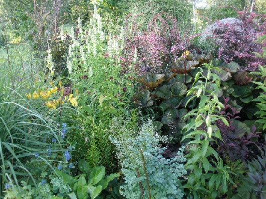 photo_11462