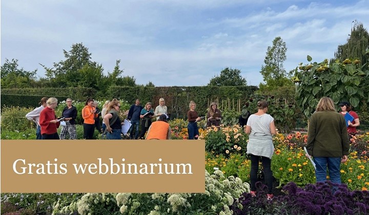Gratis webbinarium: Växtkännedom – nyckeln till en grönskande trädgård