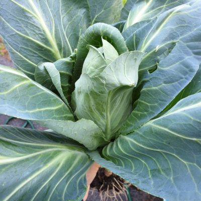 IMG_20190605_120419_087