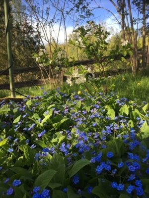 C7987A07-3D12-4039-A24E-D21DDDD46E69